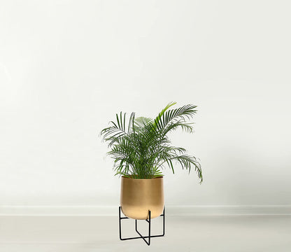 brushed gold plant pot Large metal plant pot |brushed gold color – Sam Home Collection